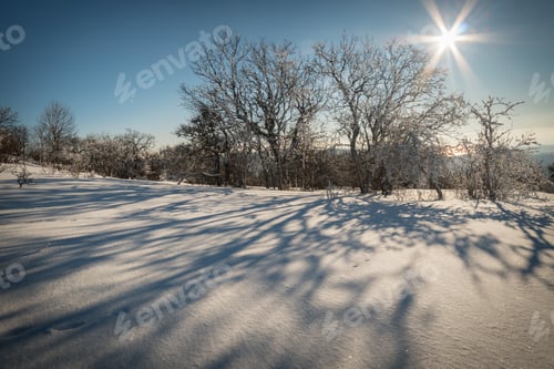 Preview: Winter forest against the blue sky with the sun