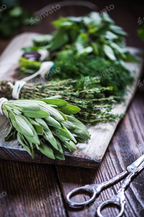 Preview: Bunch of fresh herbs from garden