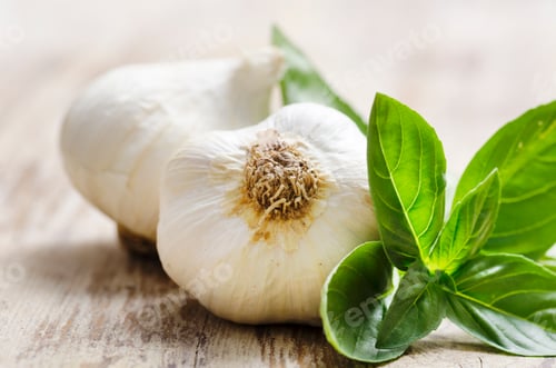 Preview: Garlic and Basil Close Up on Wooden Table
