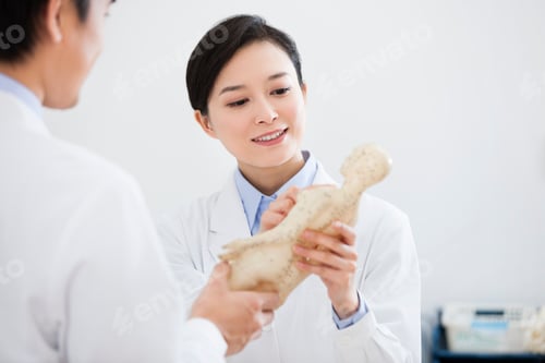 Preview: Doctors studying anatomical model