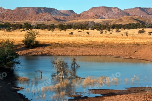 Preview: Dameraland in Namibia