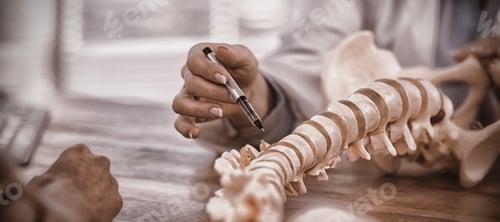 Preview: Doctor explaining anatomical spine to patient