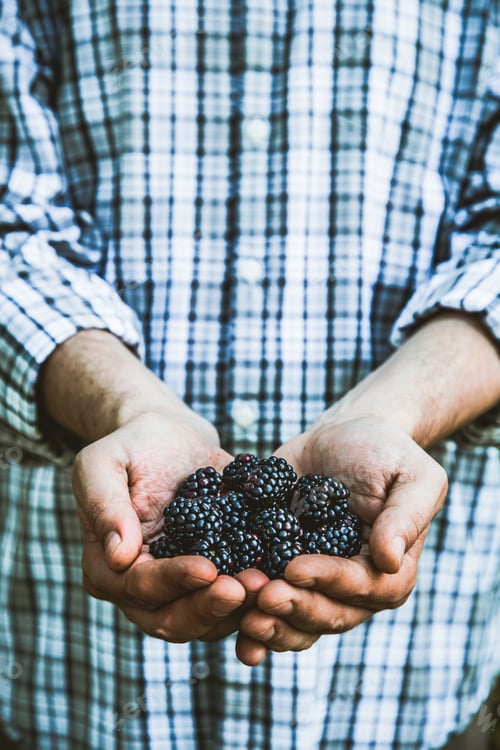 Preview: Berries