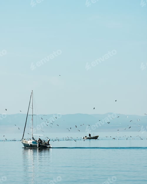 Preview: Sailing boat with a flock of birds flying over the ocean