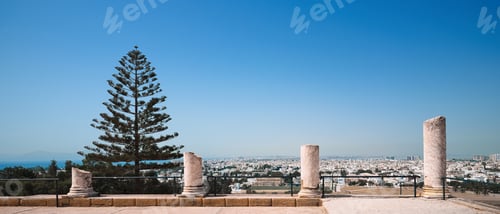 Preview: Ruins of the columns of legendary ancient city of Carthage in Tunisia, Africa
