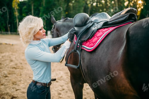 Preview: Female rider preparing a horse saddle,
