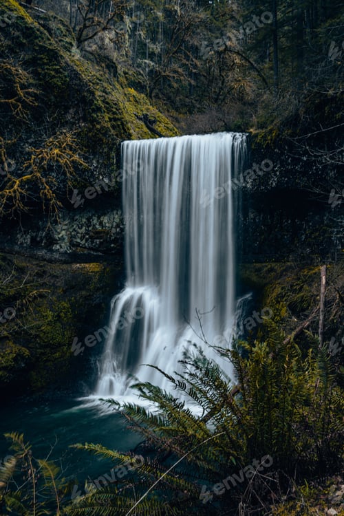 Preview: Vertical shot of a beautiful waterfall in Silver Falls State Park Mehama, USA