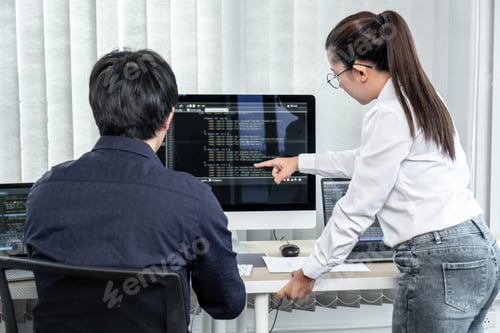 Preview: Team of two professional programmers working on website projects in software development