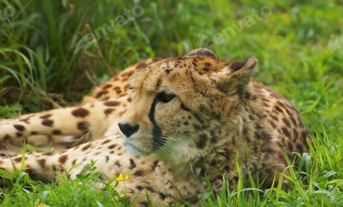 Preview: A Best wildlife sanctuary in the world