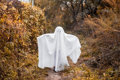 Aperçu: Little girl dressed as a Halloween ghost. Child is having fun on Halloween in a ghost costume.