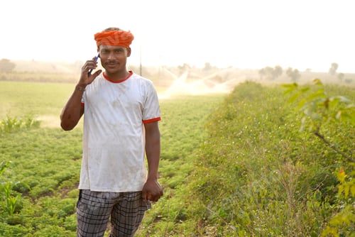 Preview: Indian famer using mobile at green chickpea field,