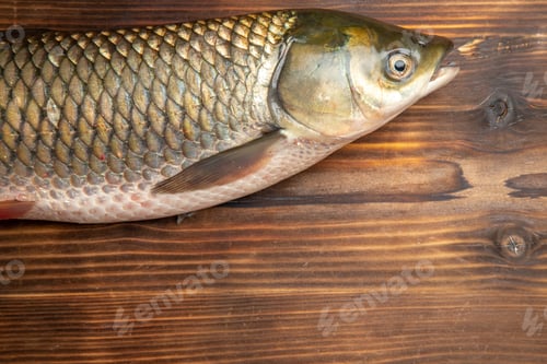 Preview: top view fresh fish raw product on the wooden desk fish sea meat ocean food