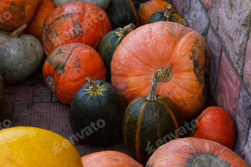 Preview: A close up image of a pile of pumpkins with chrysanthemums .