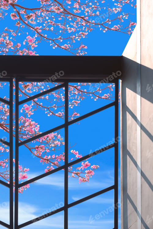 Preview: Decorative steel structure outside of building in front of colorful pink trumpet tree with blue sky