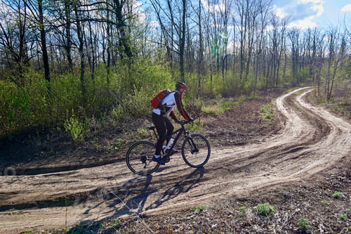 Preview: Cycling in the spring forest