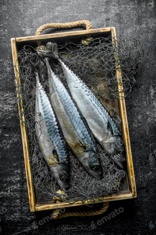 Preview: Fresh fish mackerel in box with fishing net.