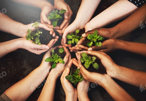 Preview: Go green today for a better tomorrow