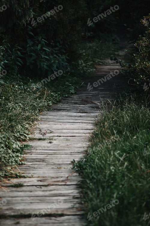Preview: selective focus of wooden path between green grass in park