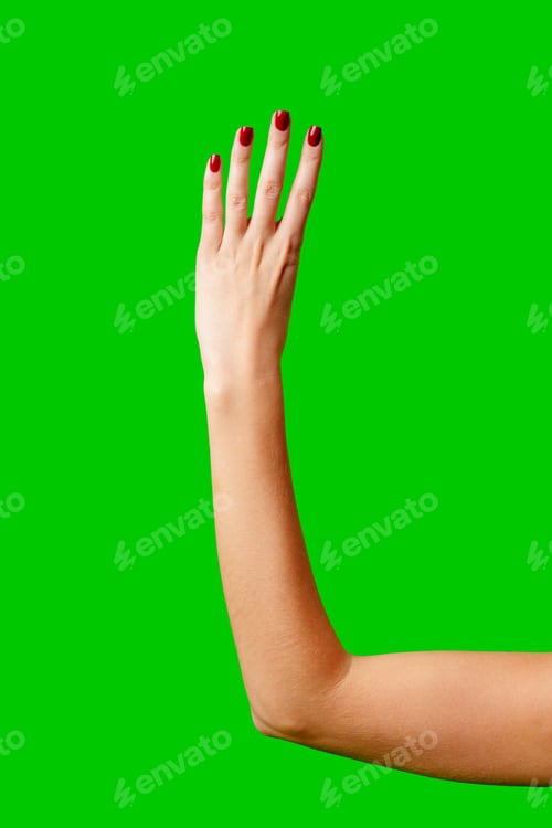 Preview: Womans Arm Hand Sign Raised in the Air