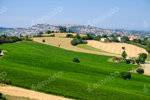 Preview: Summer landscape in Marches (Italy) near Montefano
