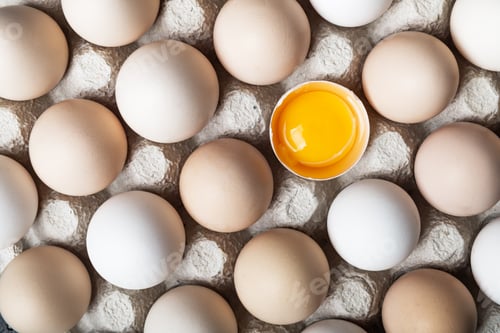 Preview: Chicken eggs in organic packaging closeup