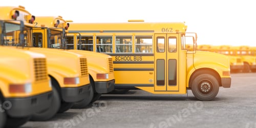 Preview: Yellow school buses in a row.