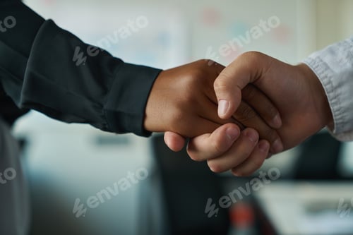 Preview: Friendly handshake caucasianmuke and African American Woman