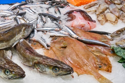 Preview: Fresh fish for sale
