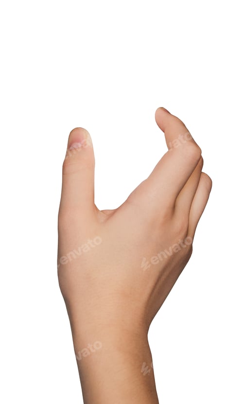 Preview: Hand holding something, isolated on white background.