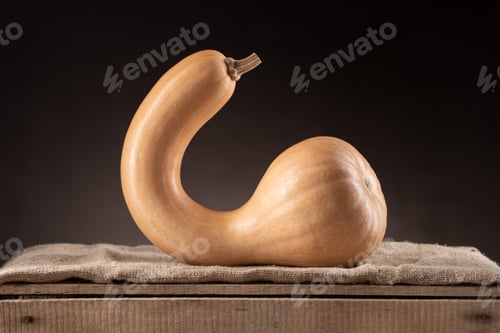 Preview: Crookneck Butternut Squash On Wooden Crate With Dark Background