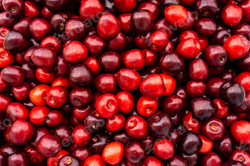 Preview: cherry Fruit Background, cherry Texture Pattern