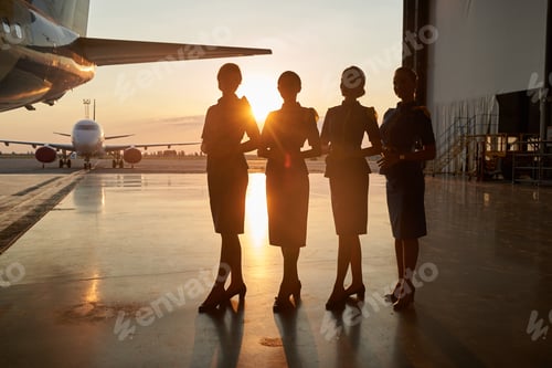 Preview: Attractive ladies posing together in the airport hangar