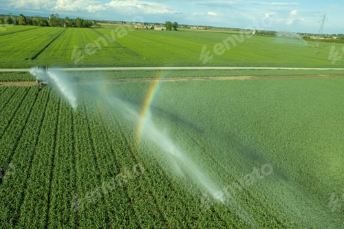 Preview: Rural field planted using hose reel system pumping water from canal