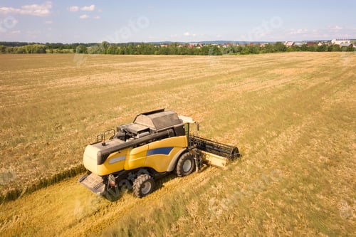 Preview: Aerial view of combine harvester harvesting large ripe wheat field. Agriculture from drone view.