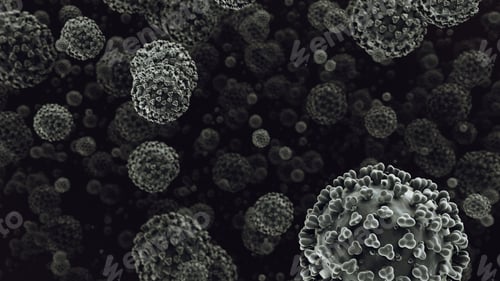 Preview: COVID-19 Coronaviruses Delta Lambda Plus Variant