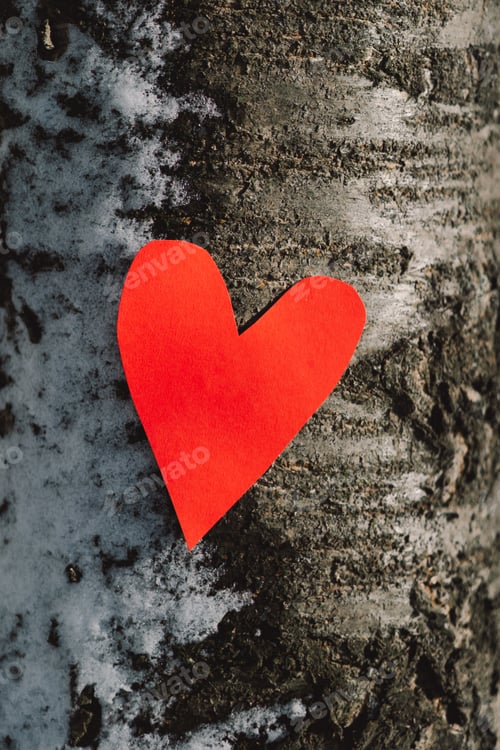 Preview: Red heart hanging on snowy tree for Valentine's day Love message. I love You.