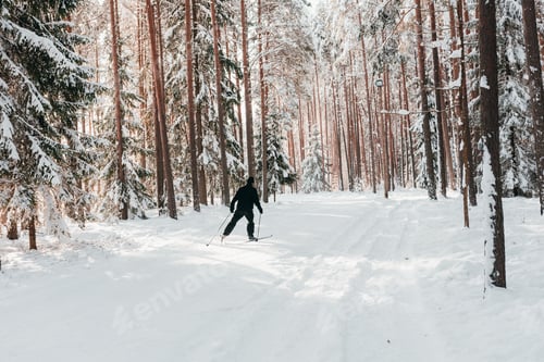 Visualização: Jovem esquiando em um parque de inverno