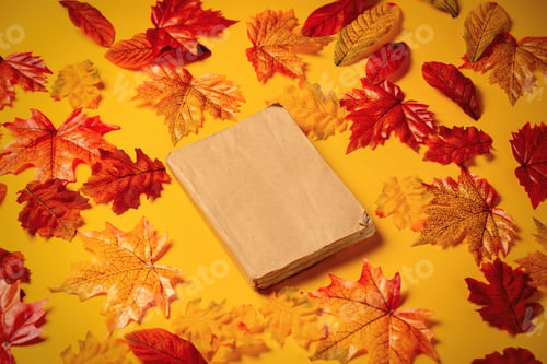 Preview: Romantic book with autumn leaves on yellow background. Top view