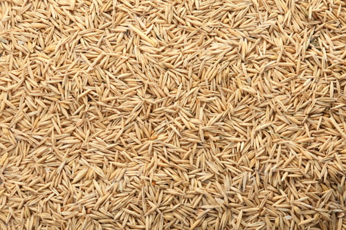 Preview: Raw oats as background. Healthy grains and cereals