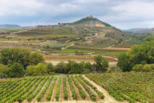 Preview: Vineyards and Davalillo castle, La Rioja (Spain)