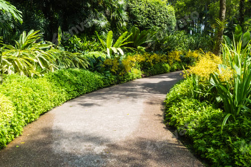 Preview: path with a frame of yellow orchids