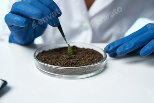 Preview: woman laboratory assistant research biology science