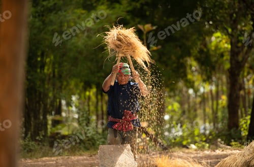 Preview: Rural life for more than 70% of Thai farmers involves farming.
