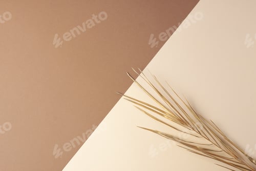 Preview: Tropical natural background with palm leaf on brown and beige. Flat lay, copy space
