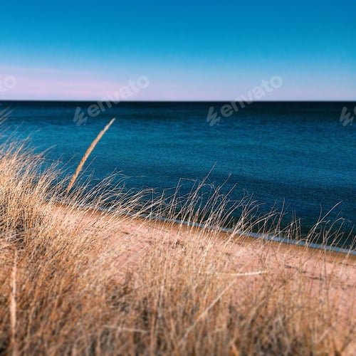 Preview: Lake and grass
