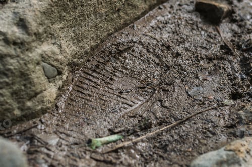 Preview: shoe print left on a muddy road. looking for the trail. footprint next to a rock. scout's mark.