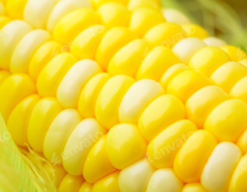 Preview: corn