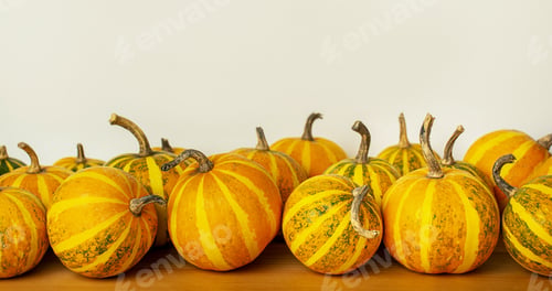 Preview: Decorative pumpkins on a light background. Thanksgiving day. Halloween concept. Banner. Copy space.