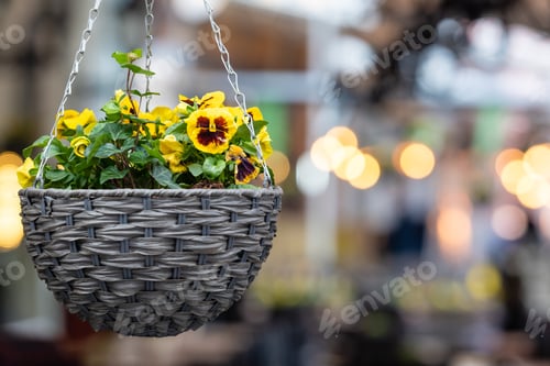 Preview: flower