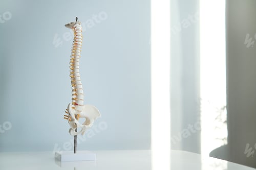 Preview: Intervertebral hernia of the cervical spine, rupture of the fibrous ring.